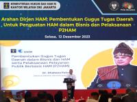 Arahan Dirjen HAM: Pembentukan Gugus Tugas Daerah Untuk Penguatan HAM Dalam Bisnis dan Pelaksanaan P2HAM