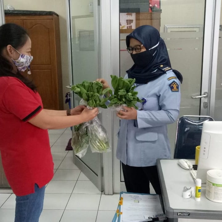 Tak Perlu Ke Pasar Pegawai Lapas Perempuan Jakarta Bisa Beli Pokcoy di Dalam Lapas 2
